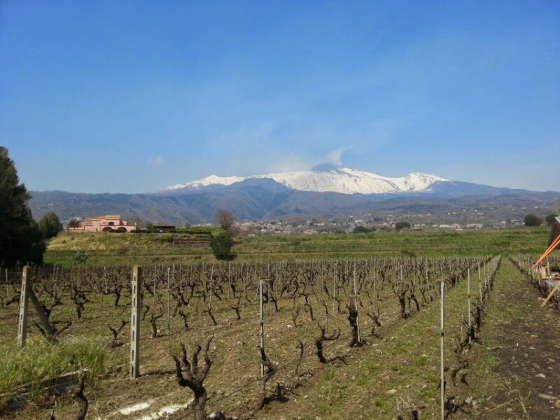 Wine and Lunch Tour - Key Points