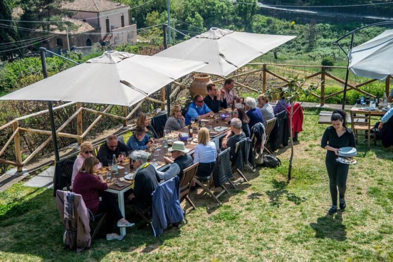 Wine and Lunch Tour - Participant Information