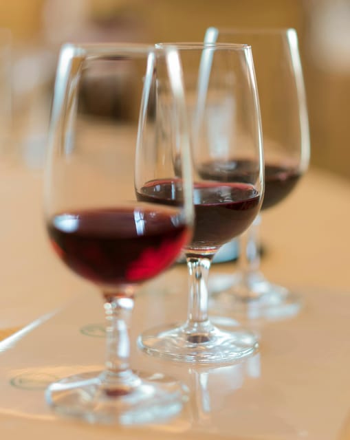 Wine and Oil Tasting in Madrid: Spains Best Wines and Tapas - Itinerary