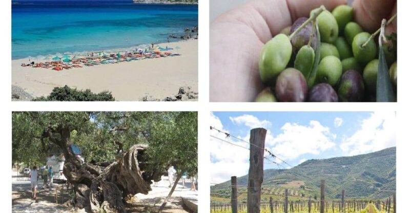 Wine and Olive, Falasarna Beach Day Tour - Highlights of the Day
