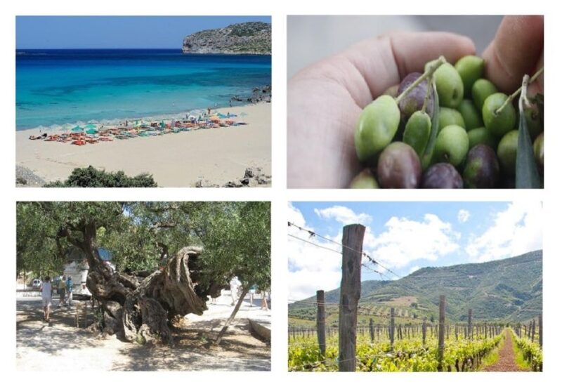 Wine and Olive, Falasarna Beach Day Tour - Swimming at Falassarna Beach