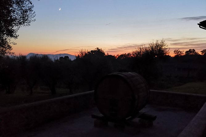 Wine and Olive Oil Tasting & Farm Tour - Meeting and Pickup