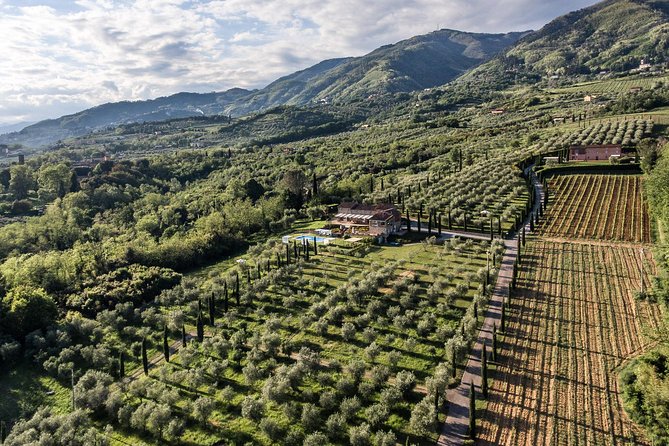 Wine and Olive Oil Tasting & Farm Tour - Booking Information