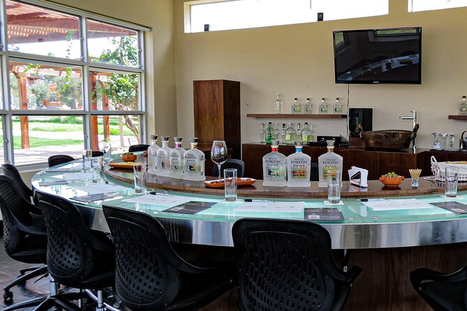 Wine and Pisco Tasting Experience by Caravedo and Tacama in Ica - Exploring Tacama Winerys History