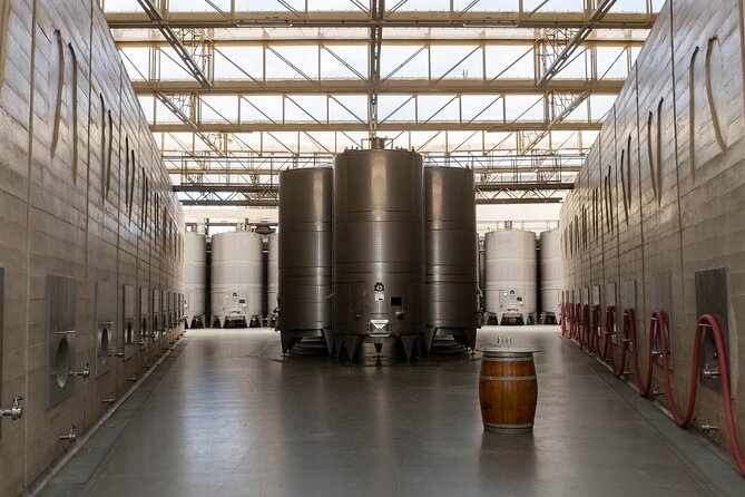 Wine and Pisco Tasting Experience by Caravedo and Tacama in Ica - Underground Cellar and Wine Tasting