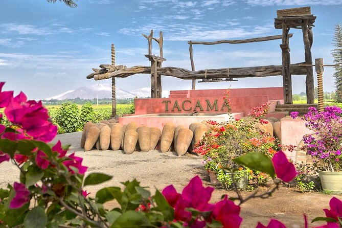 Wine and Pisco Tasting Experience by Caravedo and Tacama in Ica - Tour Logistics and Accessibility