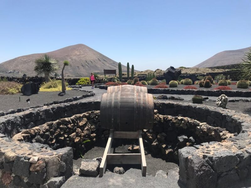 Wine and Volcan Private Tour - Frequently Asked Questions