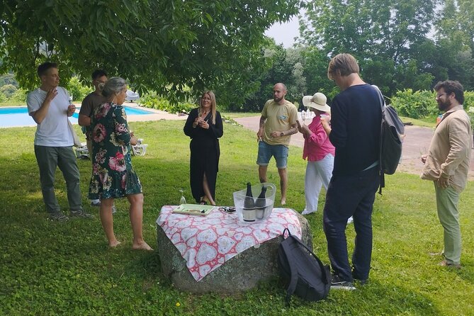 Wine and Wonders: A Tour of the Best of Vinho Verde and Douro - Winery Visits and Wine Tasting
