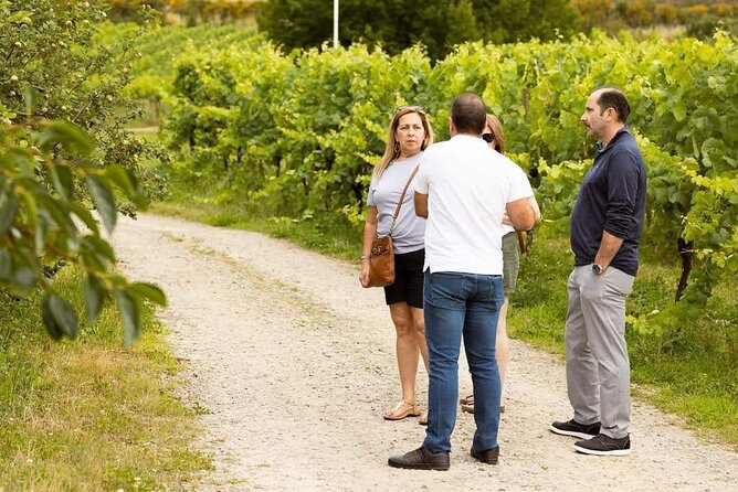 Wine and Wonders: A Tour of the Best of Vinho Verde and Douro - Preparing for the Tour Adventure