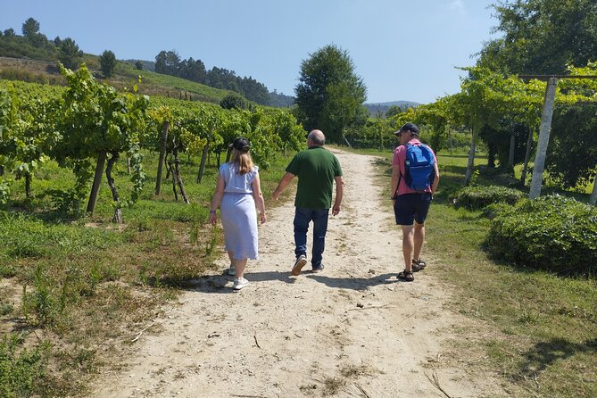 Wine and Wonders: A Tour of the Best of Vinho Verde and Douro - Questions About Staying Here