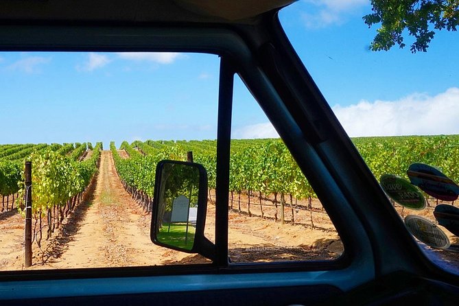 Wine Beer and Biltong Safari - Stellenbosch - Meeting Point and End Point