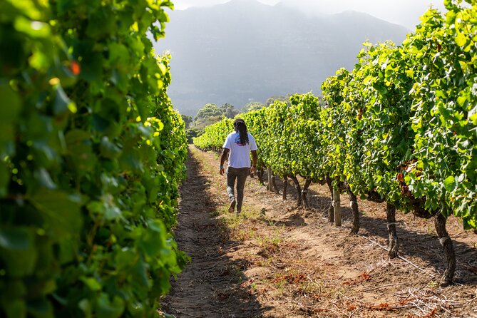 Wine Beer and Biltong Safari - Stellenbosch - Wine Farm Visits and Tastings