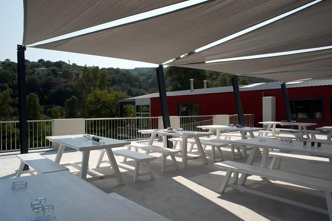 Wine, Beer, Olive Oil Tasting Private Tour (Price per Group of 6) - Additional Information