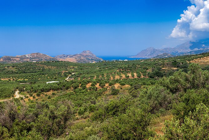 Wine, Beer, Olive Oil Tasting Private Tour (Price per Group of 6) - Traveler Feedback