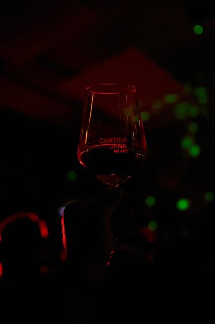 Wine Blind Tasting in Cantina Urbana Milan - Overview of the Wine Blind Tasting Experience