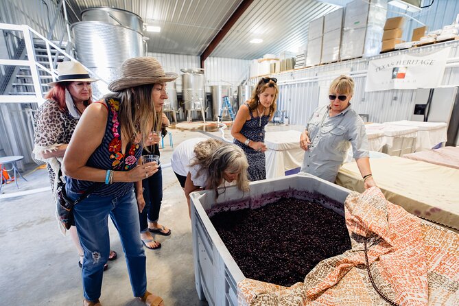 Wine, Brew and Spirits Tasting With Lunch Included - Tour Experience
