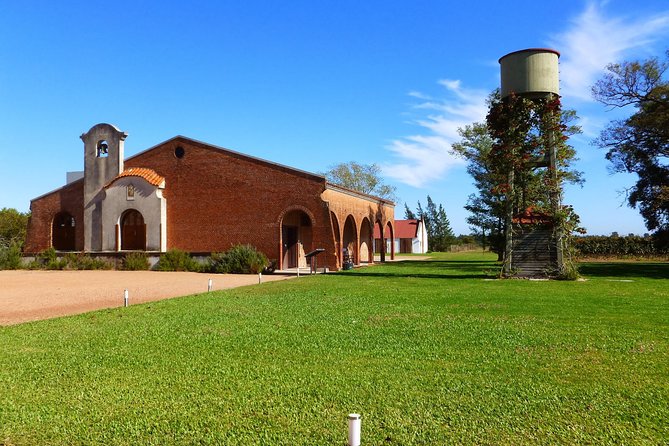 Wine Cellar & Tasting in Montevideo With Outstanding Lunch - Key Points