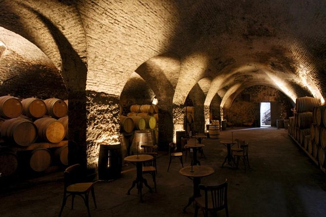 Wine Cellar & Tasting in Montevideo With Outstanding Lunch - Tour Overview