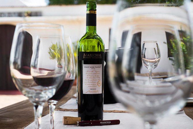 Wine Cellar & Tasting in Montevideo With Outstanding Lunch - Pickup and Start Time