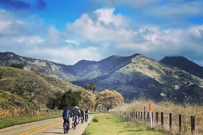 Wine Country E-Bike Guided Tour - W/O Lunch - Inclusions