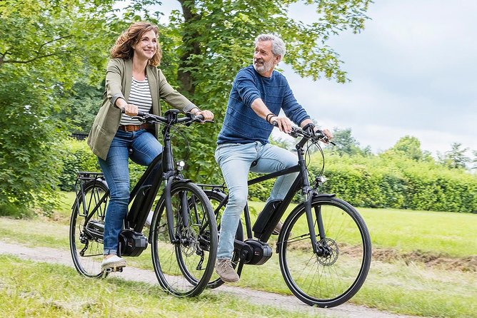 Wine Country E-Bike Guided Tour - W/O Lunch - Key Points