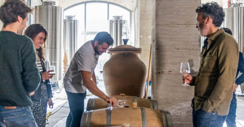 Wine Creation Workshop - Bordeaux - Darwin - Grape Varieties of Bordeaux
