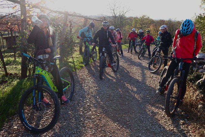 Wine Cycling Tour by E-Bike - Bike Rental and Equipment