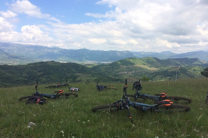 Wine Cycling Tour by E-Bike - Guided Tour Experience