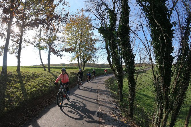 Wine Cycling Tour by E-Bike - Culinary Highlights