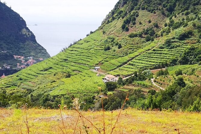 Wine Day Tour & Lunch in the Vineyard - Health and Accessibility