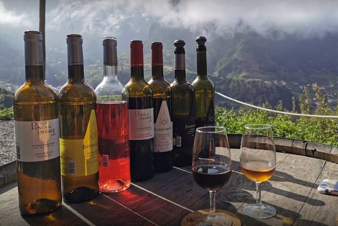 Wine Day Tour & Lunch in the Vineyard - Booking and Availability