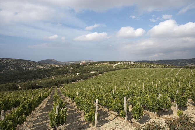 Wine & Dine at Stylianou Winery: An Exquisite Tasting Experience - Inclusions