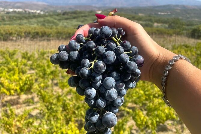 Wine & Dine at Stylianou Winery: An Exquisite Tasting Experience - Accessibility and Recommendations