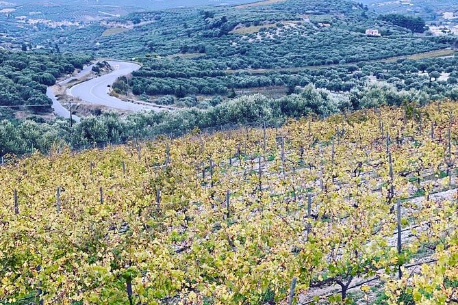 Wine & Dine at Stylianou Winery: An Exquisite Tasting Experience - Reviews and Ratings