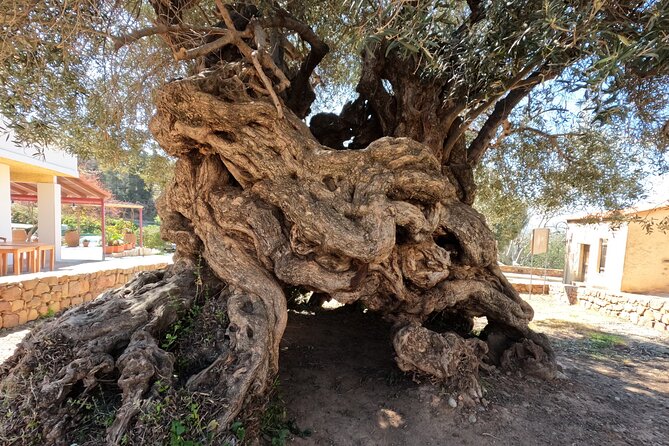Wine, Dine & Divine: A Cretan Odyssey in Chania. - Discover the Monastery of Gonia