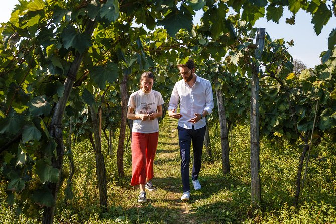 WINE & DINE Tour From Kutaisi - Itinerary Details