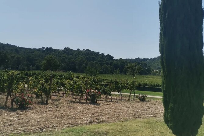 Wine Elegance: Discovery at Château La Coste and La Gaude - Summing up the Experience