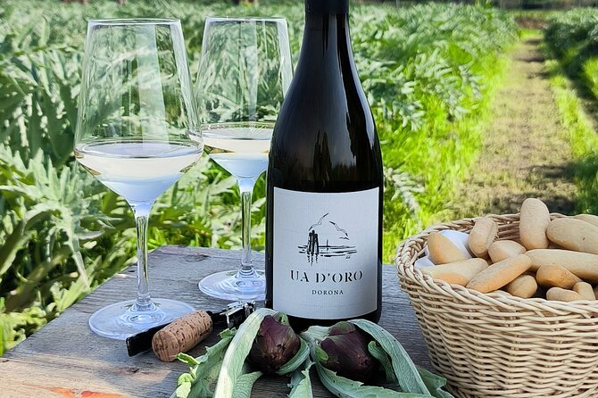 Wine Experience at IsolaLeVignole and Murano Glassworks - Key Points