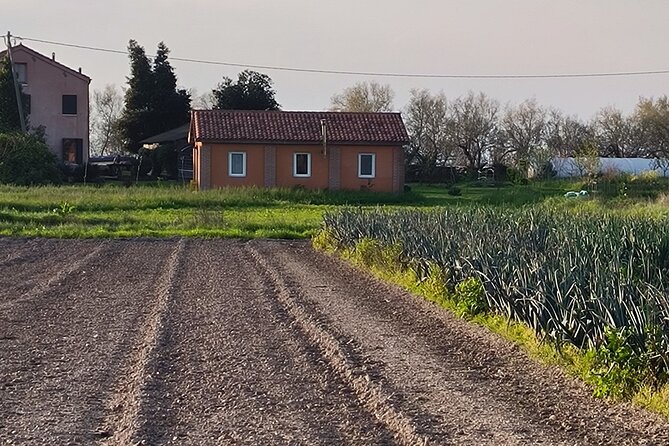 Wine Experience at IsolaLeVignole and Murano Glassworks - Murano Glass Factory Visit