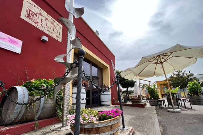 Wine Experience - Visit to the Family-Run Cellar