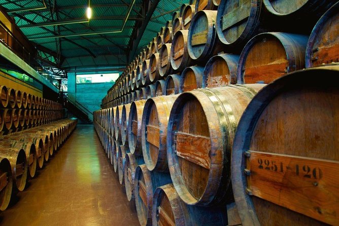 Wine Experience in Bacalhoa - Accessibility and Requirements