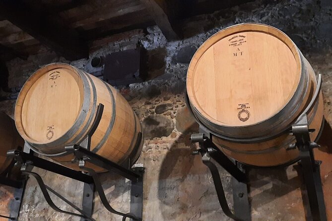 Wine Experience in Farm Vineyard & Winery From Montecatini T. - Guest Experiences and Testimonials