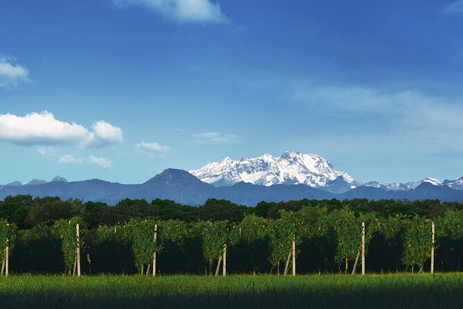 Wine Experience of Nebbiolo in Alto Piemonte - Key Points