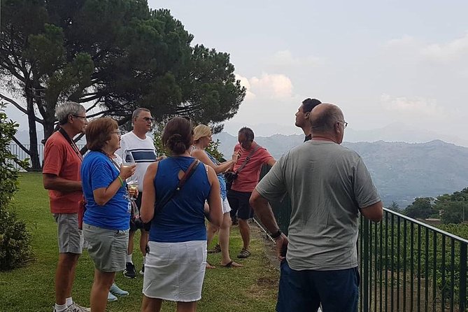 Wine Experience & Taormina Tour From Messina With Luxury Van - Exploring Messina