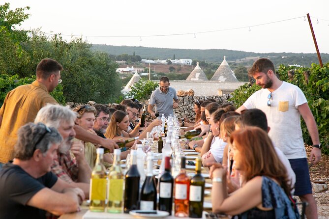 Wine Experience: Vineyard, Wines and Food - Pairing With Puglian Cuisine
