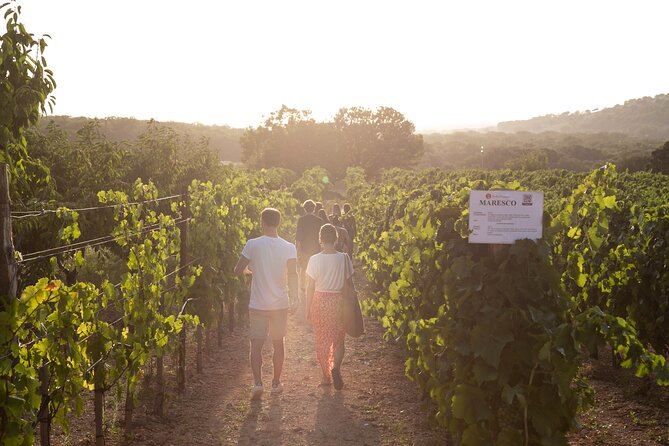 Wine Experience: Vineyard, Wines and Food - Highlights of the Tasting