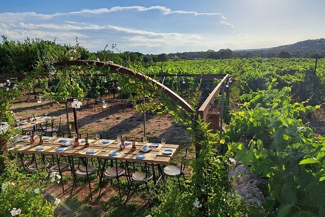 Wine Experience: Vineyard, Wines and Food - Booking and Confirmation Process