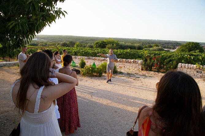 Wine Experience: Vineyard, Wines and Food - Traveler Recommendations and Tips