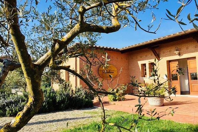 Wine, Extra Virgin Olive Oil & Bread Tour .E - Key Points