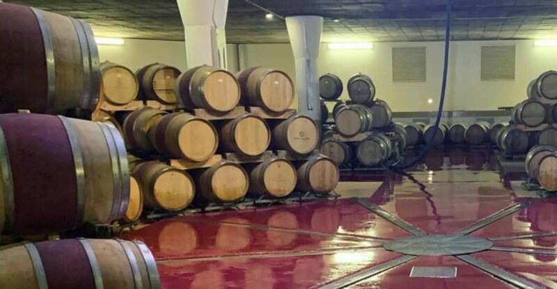 Wine Farm Tours - Tour Experience